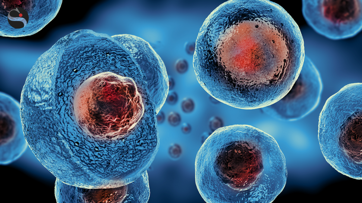 Medicina rigenerativa: non solo cellule staminali